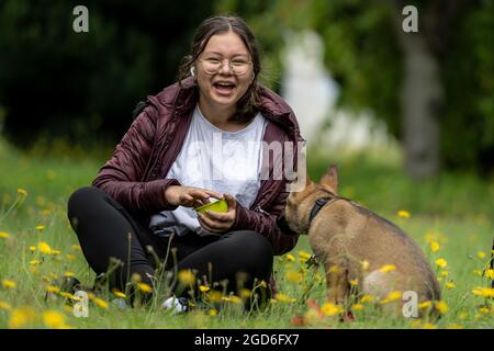 Une adolescente joue avec un chiot Berger allemand. Herbe verte avec fleurs jaunes Banque D'Images