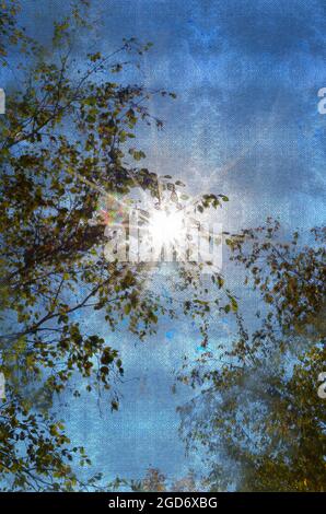 Aquarelle numérique peint des rayons de soleil dans les branches d'arbres contre un ciel bleu. Rayons lumineux de la lumière du soleil parmi les oiseaux d'automne. Art moderne Banque D'Images