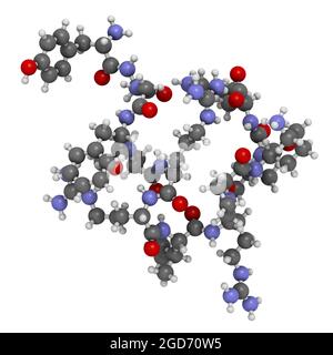 Dynorphine molécule de peptide opioïde endogène. Rendu 3D. Banque D'Images