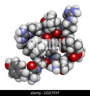 Dynorphine molécule de peptide opioïde endogène. Rendu 3D. Banque D'Images