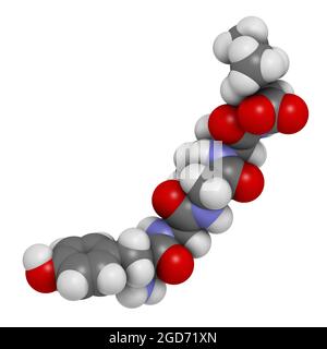 Molécule de peptide opioïde endogène de Leu-enképhaline. Rendu 3D. Banque D'Images