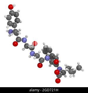 Molécule de peptide opioïde endogène de Leu-enképhaline. Rendu 3D. Banque D'Images