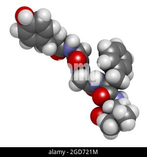 Molécule de peptide opioïde endogène de Leu-enképhaline. Rendu 3D. Banque D'Images