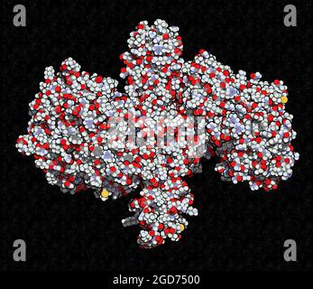 Toxine botulinique protéine neurotoxique, rendu 3D. Banque D'Images