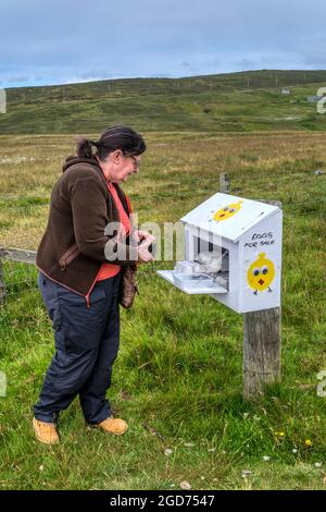 Une femme qui achète des œufs d'une boîte de bord de route sur l'île de Yell, Shetland. Laisser de l'argent dans une boîte d'honnêteté. Banque D'Images