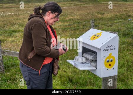 Une femme qui achète des œufs d'une boîte de bord de route sur l'île de Yell, Shetland. Laisser de l'argent dans une boîte d'honnêteté. Banque D'Images