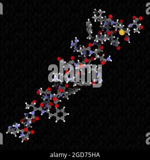 Hormone peptidique glucagon. Rendu 3D. Banque D'Images