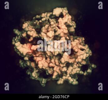 Molécule de protéine de cytokine du facteur de nécrose tumorale alpha (TNF), illustration 3D. Banque D'Images