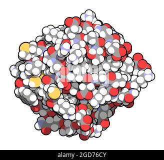 Enzyme antioxydante thiorédine. Illustration 3D. Banque D'Images