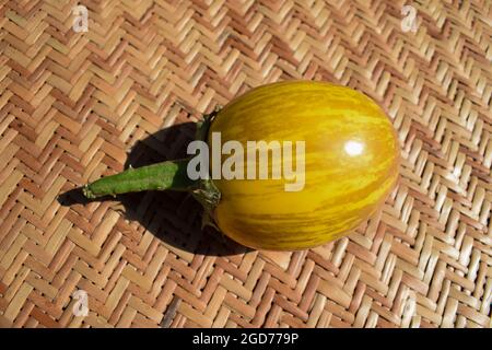 Grande aubergine jaune fraîche et brillante ombragée. Brinjal de couleur jaune sur fond de bambou en osier Banque D'Images