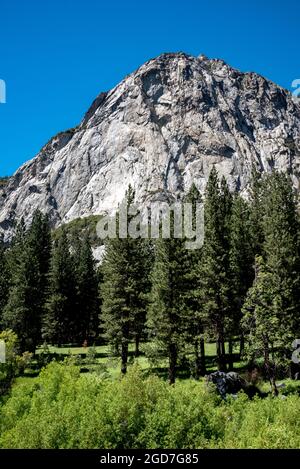 Vue de l'imposant North Dome au-dessus de Zumwalt Meadow depuis le sentier de randonnée près de Road's End dans le parc national de Kings Canyon. Ce dôme en granit est un r populaire Banque D'Images