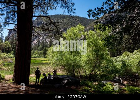 Une famille s'arrête pour se reposer sur un rocher géant avec vue sur Zumwalt Meadow lors d'une randonnée dans le parc national de Kings Canyon. Banque D'Images