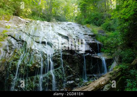 L'eau coule dans de nombreux ruisseaux au-dessus de la face rocheuse avec une végétation magnifiquement éclairée au-dessus des chutes Glen Burney près de Blowing Rock, Caroline du Nord, États-Unis. Banque D'Images