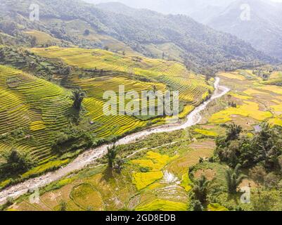 Y Ty belle terrasse de riz dans la province Lao Cai au nord du Vietnam Banque D'Images