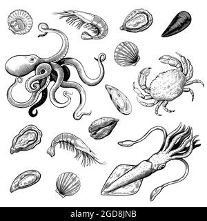 Fruits de mer dessinés à la main, coupe de bois, coloris noir et blanc, mollusques, crevettes et crabe. Illustration de Vecteur