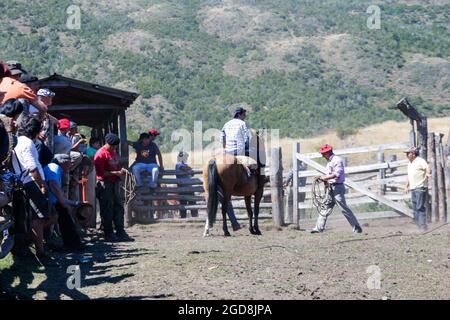 COCHRANE, CHILI - 31 janvier 2016 : Gaucho à cheval avant le début du parcours . Patagonie. Région d'Aysen. Banque D'Images