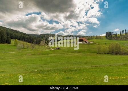 Maison de ferme de la Forêt Noire dans un paysage vallonné, entourée d'un pré vert et d'une forêt, Jostal près de Titisee-Neustadt, Bade-Wurtemberg, Allemagne Banque D'Images