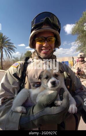 Un soldat de la Garde nationale de l'armée de Louisiane (LAARNG) avec la 256e Brigade combat Team (BCT), 2e Bataillon, joue avec un chiot trouvé dans un endroit non divulgué près de Bagdad, en Irak (IRQ), pour soutenir l'opération LIBERTÉ IRAKIENNE. (PHOTO DE LA MARINE AMÉRICAINE PAR PH1 (AW) BRIEN AHO 050205-N-5319A-012) Banque D'Images