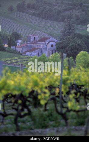 FRANCE. CHARENTE (16) VIGNOBLE DE COGNAC. CHAMPAGNE CHARENTAISE. L'ÉGLISE ROMAINE DU VILLAGE DE BOUTEVILLE Banque D'Images