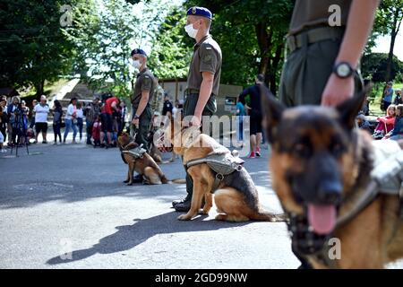 Non exclusif: LVIV, UKRAINE - AOÛT 8 2021 - des soldats et des chiens font la queue pendant le défilé de chiens militaires dans le parc culturel Bohdan Khmelnytskyi Banque D'Images