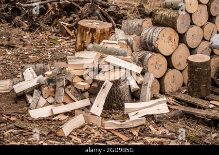 Gerbage de bois de chauffage. Pile de bois de chauffage. Bois de chauffage de fond. Banque D'Images