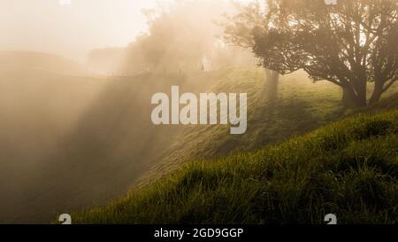 Silhouettes de personnes marchant dans le brouillard au sommet du Mont Eden avec des rayons de soleil à travers les arbres et cratère volcanique en premier plan, Auckland Banque D'Images