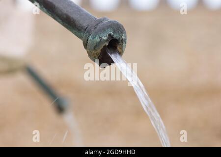Eau fraîche, transparente et cristalline, provenant d'une fontaine classique de la ville de Burgos. Banque D'Images