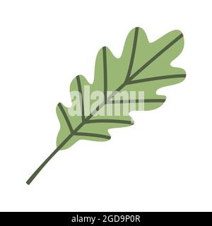 Jolie feuille de chêne vert. Icône de la plate-forme d'automne. Clipart de feuilles mortes pour la conception de cartes de voeux, affiches, bannières, dépliants. Jour de la moisson, Thanksgiving Illustration de Vecteur