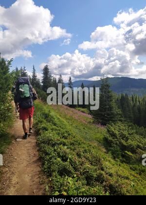 Un homme avec un grand sac à dos de randonnée marche le long d'un sentier de randonnée le long d'une prairie en fleurs, d'une forêt verte et de hautes montagnes. Le concept de voyage d'été au Banque D'Images