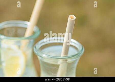 Eau douce avec une tranche de citron dans un verre de cruches avec des pailles en bambou bio et entièrement biodégradable Banque D'Images