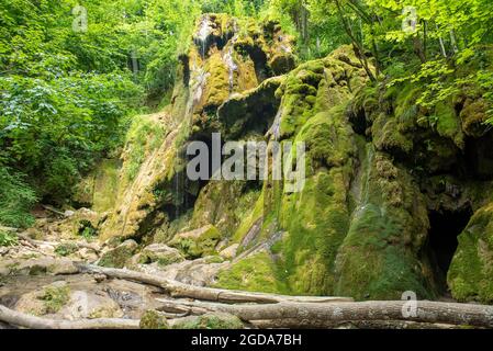 Roumanie, comté de Caras-Severin, Chérile Nerei, chute d'eau de Beussita dans le parc national, presque pas d'eau, séché Banque D'Images