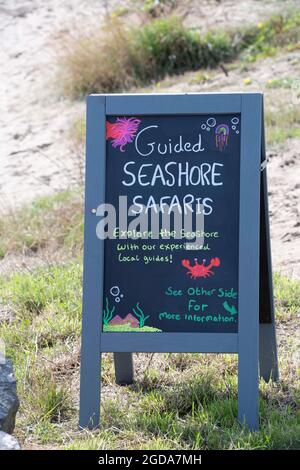 Fishguard, Pembrokeshire, royaume-uni . 12 août 2021 les touristes affluent vers les villes de Coatal maintenant estrictionsss sont enraillés au pays de galles, les températures augmentent à 18 degrés activités de la mer et la culture de café reprendre crédit: Debra Angel/Alay Live News Banque D'Images