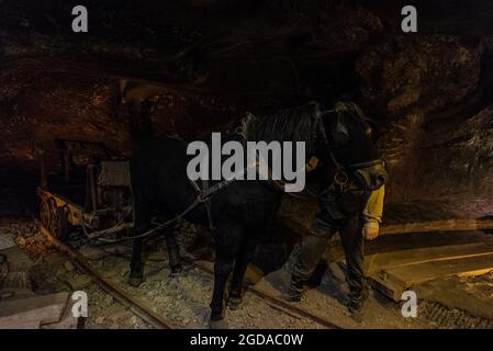 Ancien corf tiré par un cheval dans la mine de sel de Wieliczka, Cracovie, Pologne Banque D'Images