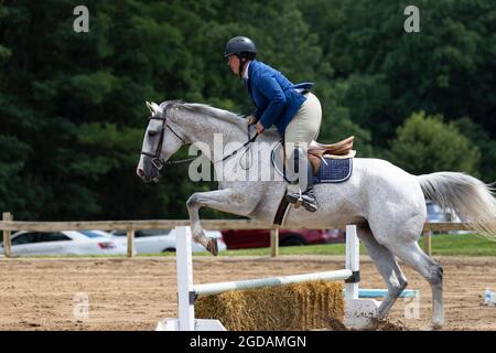 Femme sur un cheval sautant une clôture à un spectacle de chevaux. Banque D'Images