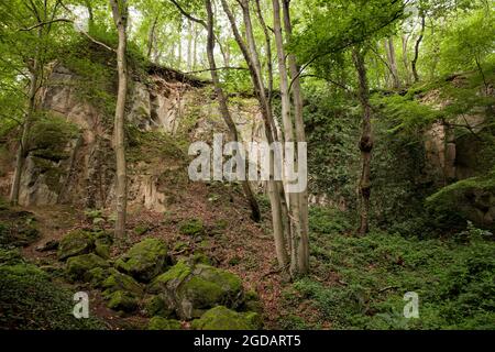 canyon rocheux de la montagne de Stenzelberg dans la chaîne de montagnes de Siebengebirge près de Koenigswinter, la montagne a servi de carrière pour la latite de quartz jusqu'à la Th Banque D'Images