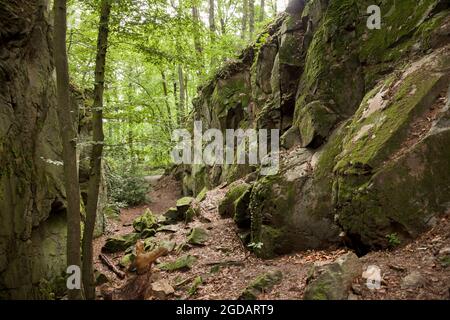 canyon rocheux de la montagne de Stenzelberg dans la chaîne de montagnes de Siebengebirge près de Koenigswinter, la montagne a servi de carrière pour la latite de quartz jusqu'à la Th Banque D'Images