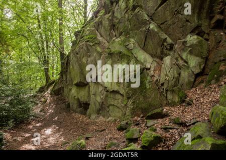 canyon rocheux de la montagne de Stenzelberg dans la chaîne de montagnes de Siebengebirge près de Koenigswinter, la montagne a servi de carrière pour la latite de quartz jusqu'à la Th Banque D'Images