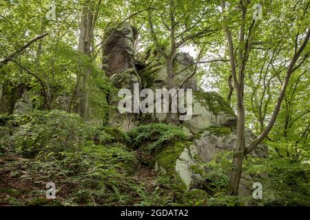 canyon rocheux de la montagne de Stenzelberg dans la chaîne de montagnes de Siebengebirge près de Koenigswinter, la montagne a servi de carrière pour la latite de quartz jusqu'à la Th Banque D'Images