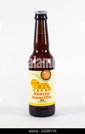 Azacca Amarillo IPA est une bière artisanale végétalienne en édition limitée de la brasserie Lerwick sur Shetland. Il a une force de 6.5% ABV. Banque D'Images
