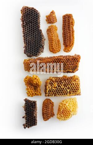 Journée nationale des abeilles. Les abeilles rampent sur le nid d'abeille. Banque D'Images