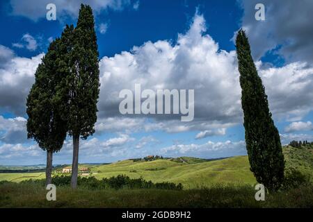 Trekking à Certaldo, vue panoramique parmi les cyprès du parc de Canonica pour découvrir les goulets de Casale, un paysage avec des phénomènes érosifs Banque D'Images