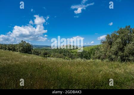 Trekking à Certaldo pour découvrir les ravins de Casale, un paysage aux phénomènes érosifs avec une visite finale à l'ancien village de Certaldo, prov Banque D'Images