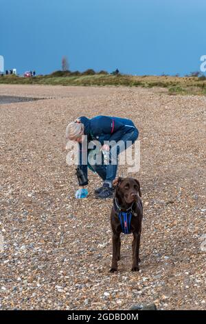 femme ramassant des fientes de chien, femme défrichant des mess de chien, le poo de chien sur la plage étant ramassé par le propriétaire responsable, la propriété responsable d'animal de compagnie, la saleté de chien. Banque D'Images