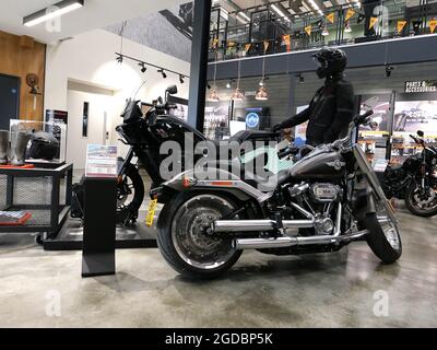 Siège du Three Rivers Harley-Davidson Owners Group, Watford Harley-Davidson est le dernier concessionnaire Harley à rejoindre la famille Lind. Ouvert en février 2020 et situé à Trade City sur Thomas Sawyer Way, à côté de notre salle d'exposition de motos Triumph. Créer une destination sociale pour les motards du Hertfordshire et du nord de Londres. Vous pouvez découvrir les toutes dernières motos Harley®, les vêtements de style de vie et de pilote ou réserver votre tour dans notre atelier, tenu par des techniciens formés en usine. Banque D'Images