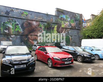 L'art de la rue est utilisé pour rajeunir les sites vacants dans le centre-ville de Glasgow avec un sentier mural à suivre; la fresque murale de la faune au parking sur Candleriggs Banque D'Images