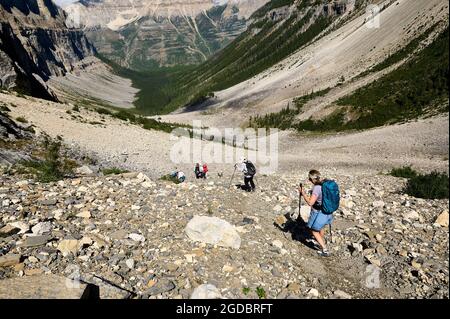 Randonnée sur le versant de la chute de roche, sentier Stanley Glacier, parc national Kootenay, Colombie-Britannique, Canada. Banque D'Images