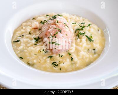 risotto cuit avec tartare de crevettes dans une assiette blanche Banque D'Images