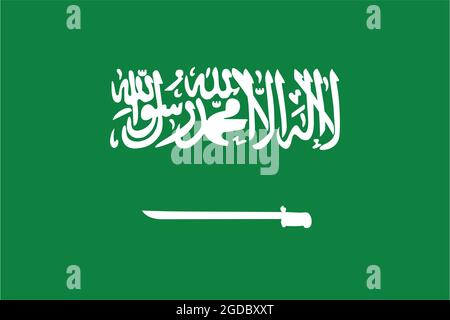 Drapeau du Royaume d'Arabie Saoudite soufflant dans le vent. Texture d'arrière-plan. Riyad. Illustration 3d. Rendu 3d. Banque D'Images