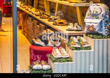 Principales attractions éditoriales d'Istanbul Banque D'Images