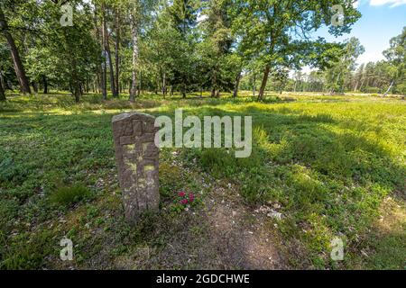 Cimetière de prisonniers de guerre, Bergen-Belsen, Allemagne Banque D'Images